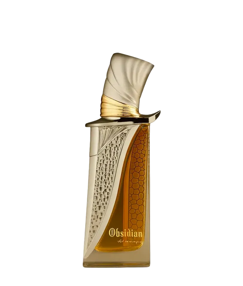 Obsidian by French Avenue EDP 100ml unisex